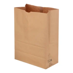 BAGS KRAFT 1/6 BBL 57# PDI 500/BNDL