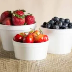 CONT STYRO 32FC49 32OZ FOOD 500/CS